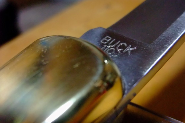 Carved Seal of The BUCK 110 FOLDING HUNTER