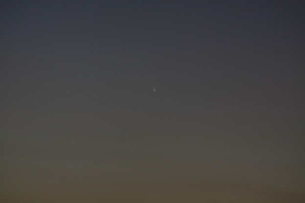 写真: パンスターズ彗星（C/2011 L4）