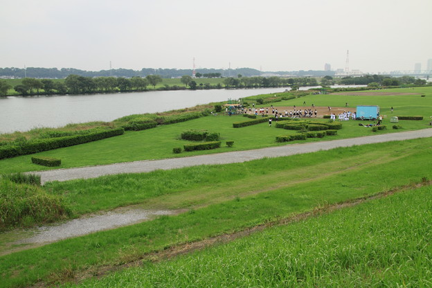 写真: 江戸川河川敷