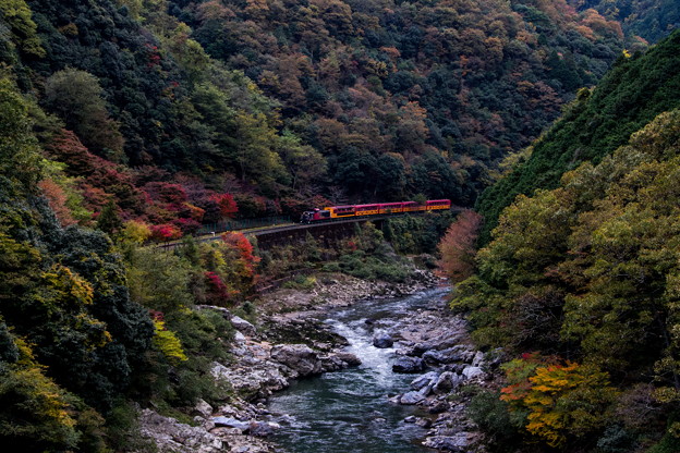 写真: 嵯峨野観光線　トロッコ列車