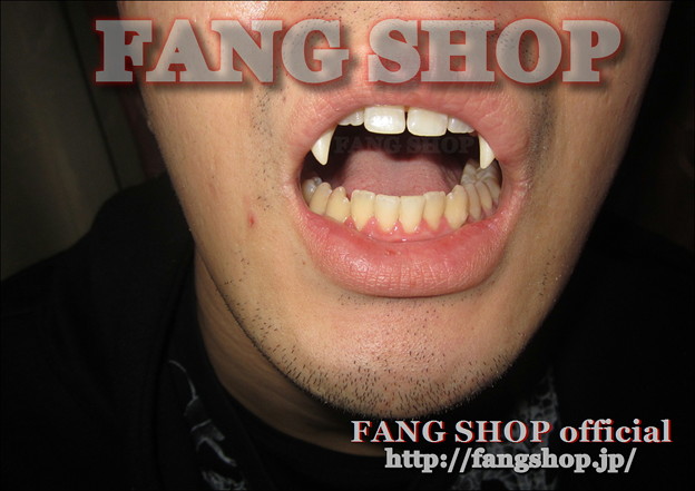 FANG SHOP 付け牙 N-0239