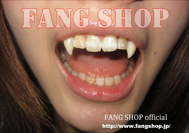 FANG SHOP 付け牙 N-0299