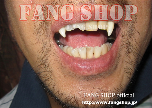 FANG SHOP 付け牙 N-0300