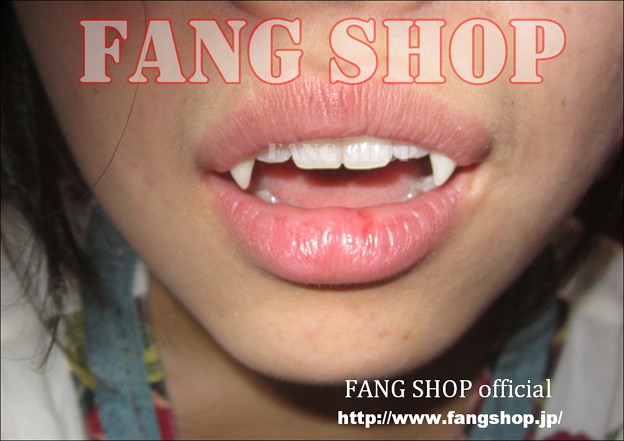 FANG SHOP 付け牙 N-0459