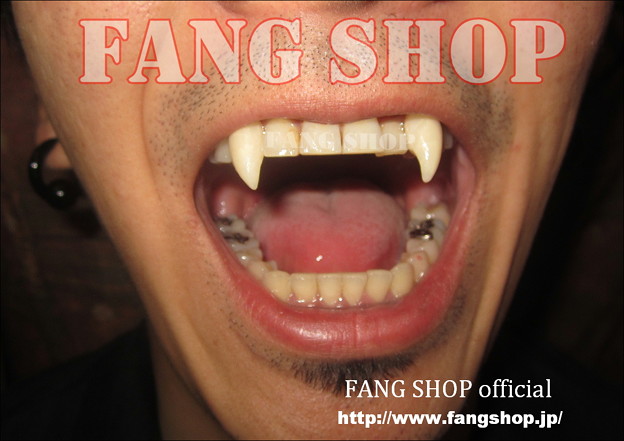 FANG SHOP 付け牙 N-0460