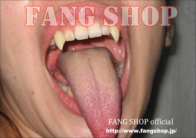 写真: FANG SHOP 付け牙 N-0025
