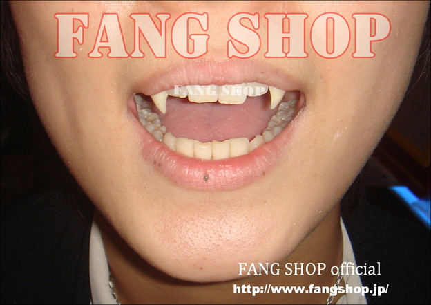 FANG SHOP 付け牙 N-0028
