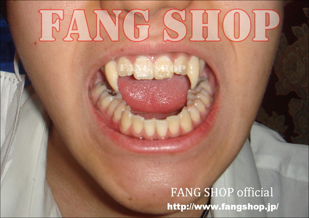 FANG SHOP 付け牙 N-0029