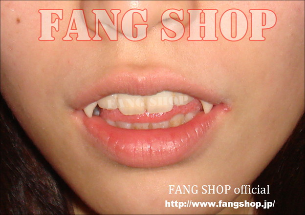 FANG SHOP 付け牙 N-0035