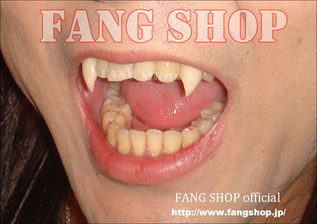 FANG SHOP 付け牙 N-0039