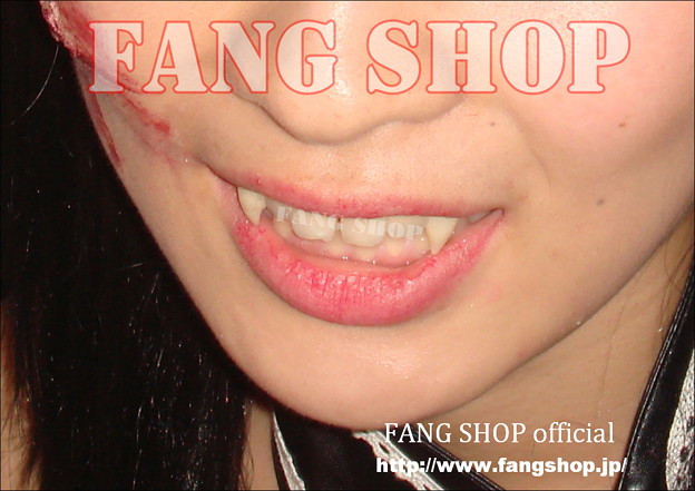 写真: FANG SHOP 付け牙 N-0053