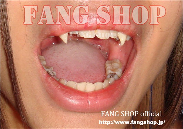 FANG SHOP 付け牙 N-0064
