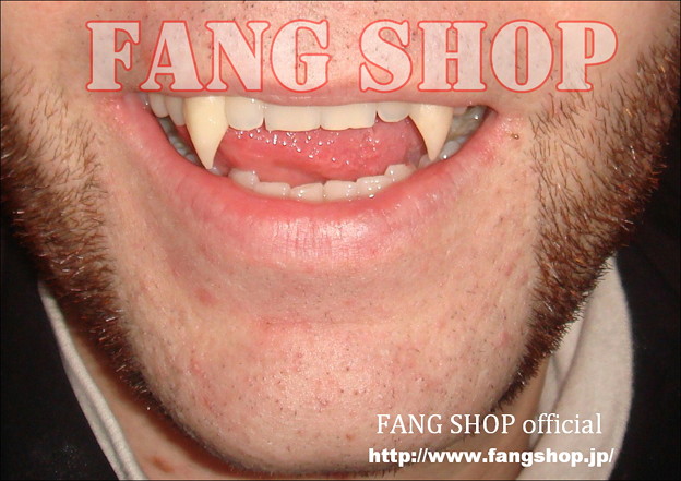 FANG SHOP 付け牙 N-0073