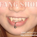 写真: FANG SHOP 付け牙 N-0083
