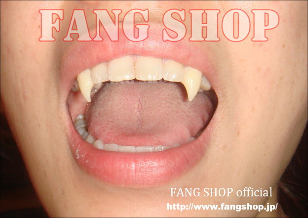 FANG SHOP 付け牙 N-0090