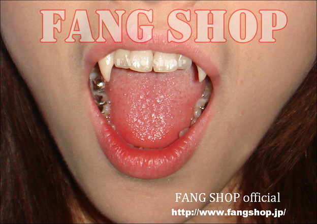 FANG SHOP 付け牙 N-0033