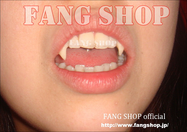 FANG SHOP 付け牙 N-0031