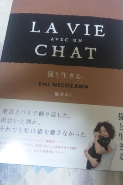 エミちゃんの新刊「猫と生きる。」おれのこともチラッと出てくるぜ！みんなで読もう！よろしく哀愁！LA VIE AVEC UN CHAT！