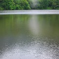 写真: 2008_0819霧の湖･伝説の谷0093