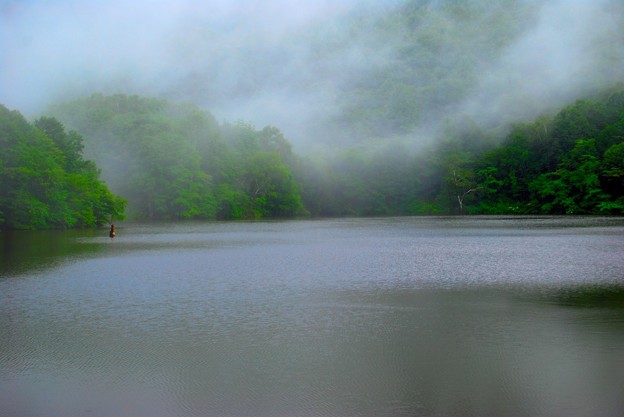 写真: 2008_0819霧の湖･伝説の谷0060