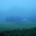 写真: 2008_0831秋の序章１ 0012霧の朝
