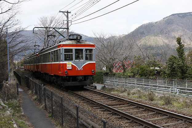 写真: 箱根登山鉄道モハ2形
