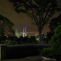 夜の横浜ベイブリッジ