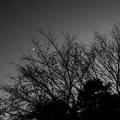 写真: Crescent, Silhouette & Twilight