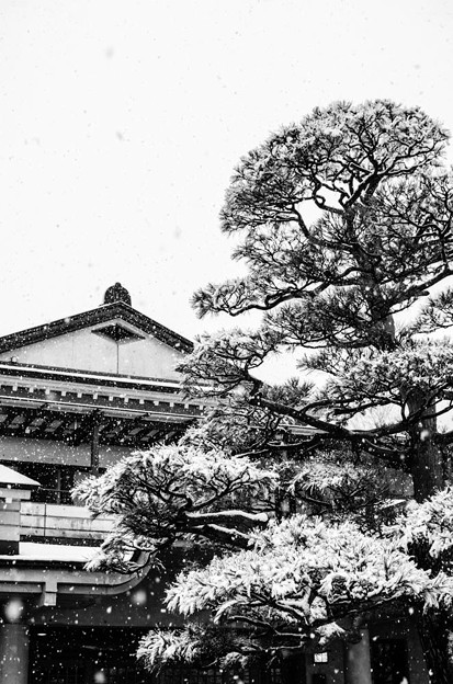 写真: 雪の東京、八王子の両輪山龍谷寺