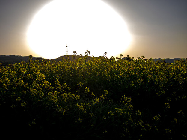 写真: 太陽大爆発（爆）