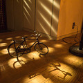 写真: The Shadow Of Your Bicycle