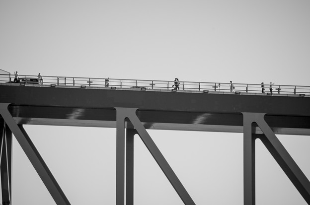写真: 恐竜橋を海上から見る4