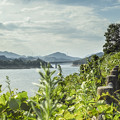 写真: 宮ヶ瀬湖の風景