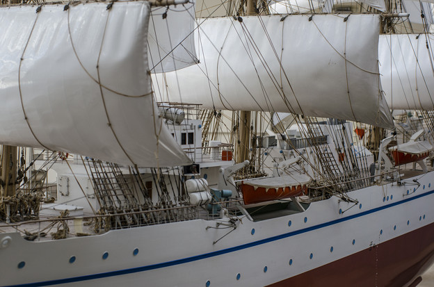 写真: 帆船日本丸(模型)の左舷