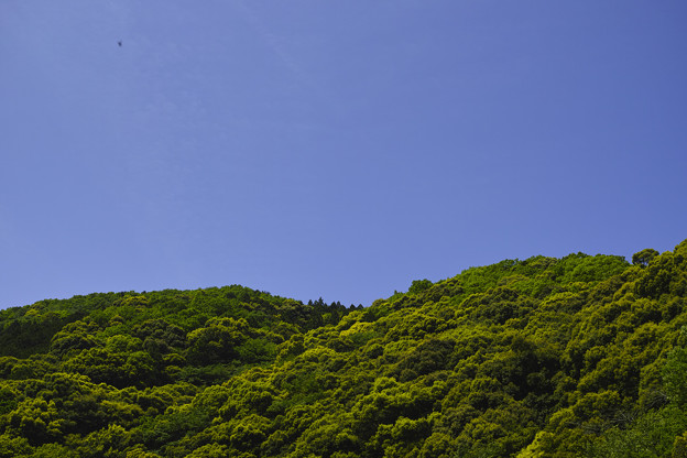 写真: 掛川の山、空