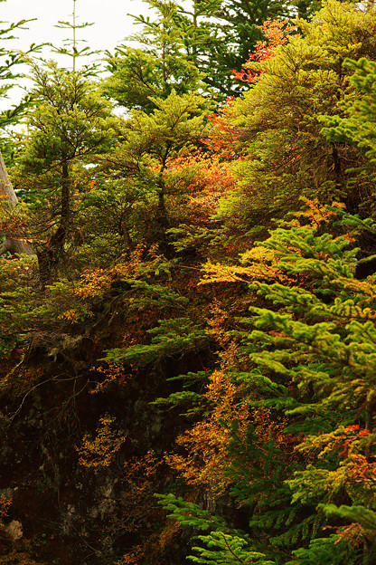 写真: 岩肌を彩る紅葉