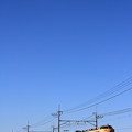 写真: 2013年10月27日　上里町民ハイキング