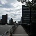 新東海橋