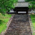 2012年6月4日　東大寺　戒壇院の石段　（HDR)