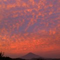 夕焼け　梶原山より見る黒富士