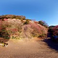 写真: 2013年2月21日　丸子梅園　360度パノラマ写真(3)