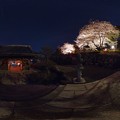 2013年3月26日　瀬名　光鏡院　夜桜　360度パノラマ写真(1)
