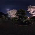 写真: 2013年3月26日　瀬名　光鏡院　夜桜　360度パノラマ写真(3)