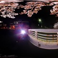 写真: 2013年3月28日　駿府城公園　西門橋　夜桜　360度パノラマ写真(3)