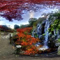 写真: 熱海梅園　紅葉 360度パノラマ写真(3) HDR