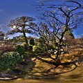 写真: 2014年2月16日　駿府城公園　紅葉山庭園　白梅　360度パノラマ写真 HDR