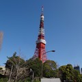 写真: 130404 東京タワー