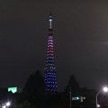 写真: 130911 東京タワー