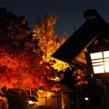 写真: 宝登山神社