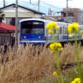 写真: 伊豆箱根鉄道・大雄山線